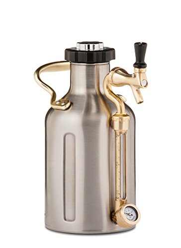 GrowlerWerks Stainless Steel uKeg Carbonated Growler, 64 oz
