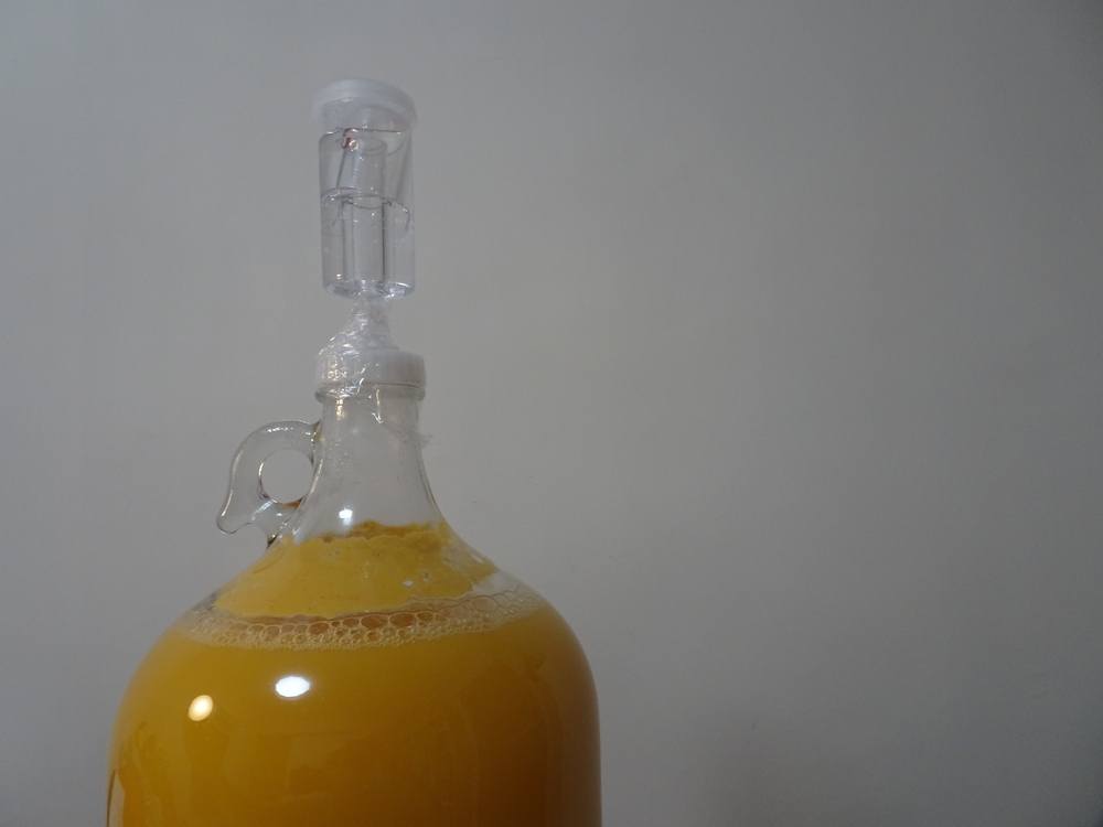 bright orange beer fermenting in glass gallon jug