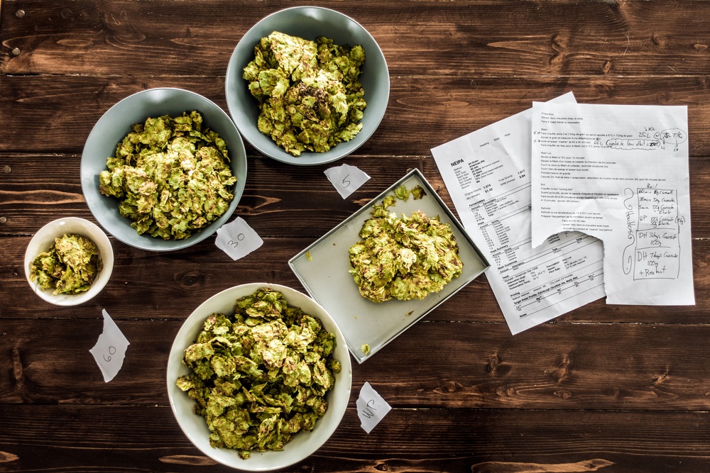 weighing whole cone hops on a scale with a printed recipe for a NEIPA