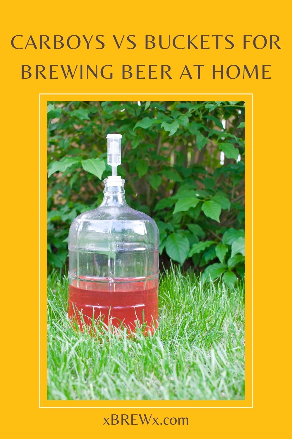 5-gallon clear glass carboy with bubbler and green leaves in the background. Image has text overlay which says, "carboys vs buckets for brewing beer at home".